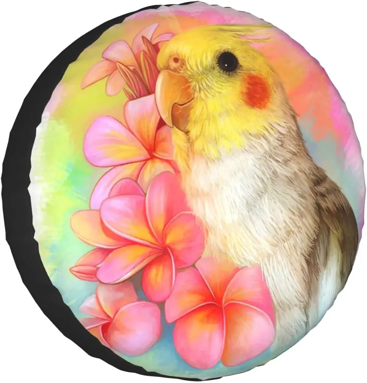 Ϳ Cockatiel Ʈ  Ÿ̾ Ŀ,  Ÿ̾..