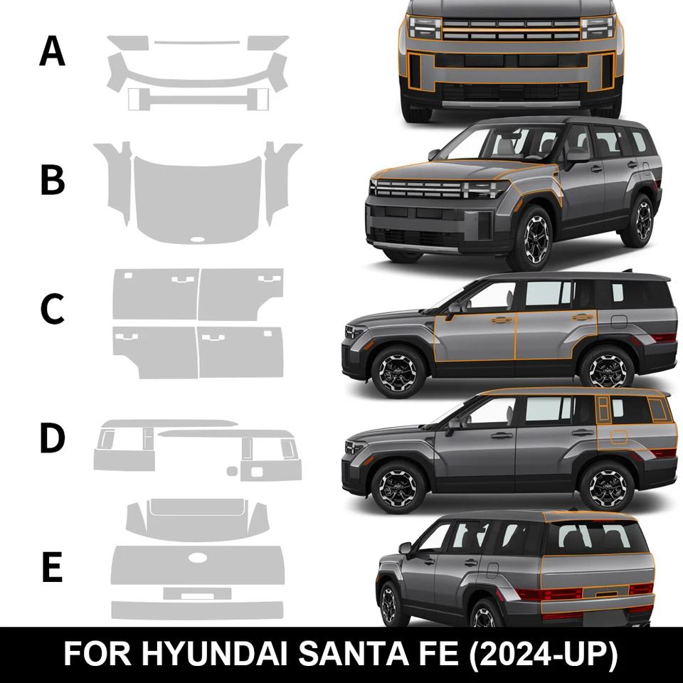  Ÿ 2024 2025 ڵ Ʈ ȣ ʸ TPU  ..